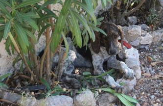 Beautiful House beside the Sea! - Foto 9