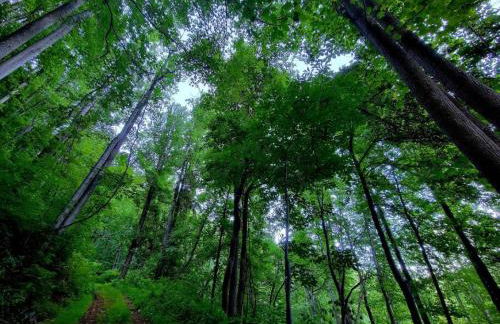 Zen River Retreat - Foto 22