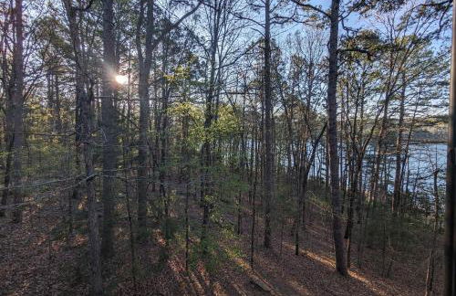 Greers Ferry Lake Cabin - Foto 16