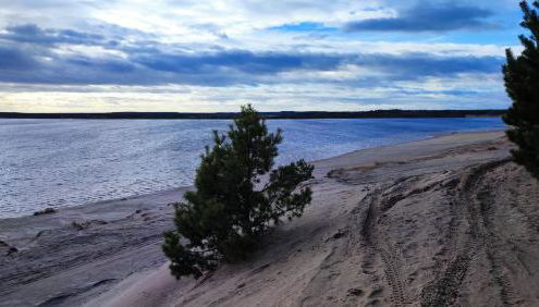 Holzhaus am Bergheider See - Foto 3