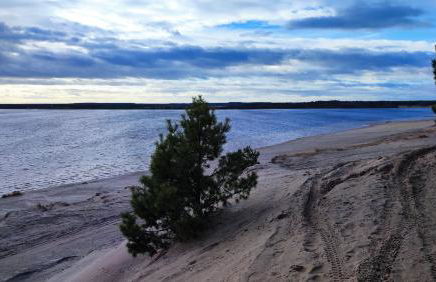 Holzhaus am Bergheider See - Foto 3