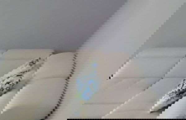 Casa Annick Holiday Home Chianti Area Florence - Photo 11