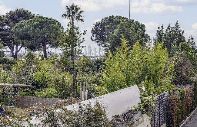 Dolce Vita - Foto 18