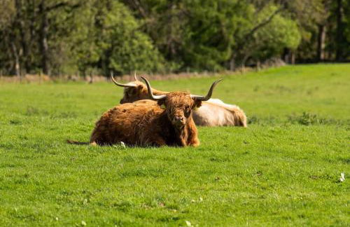 Spacious & Stylish StoneHous Cottage - Photo 33