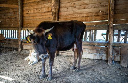 Agriturismo San Basilio - Foto 78