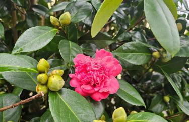 La Casa - Gîte familal - 15min from Puy duFou - Foto 44