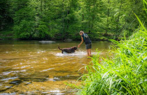 Ferienwohnung am Ilztal - Foto 34
