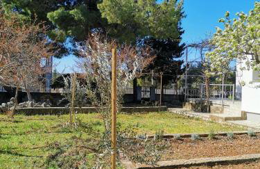 Apartman Soto - Photo 23