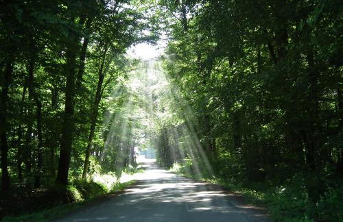 Ferienwohnung "Landblick" - Foto 8