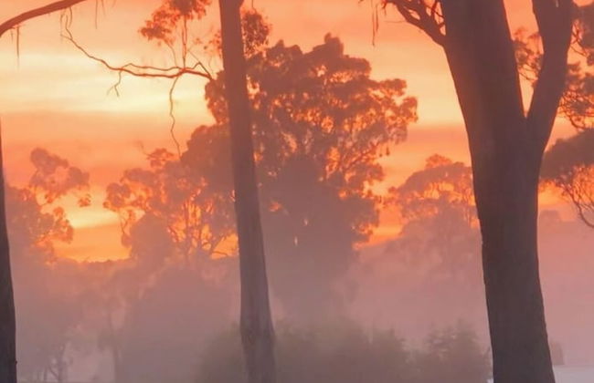 Hazelcreek Cottages - Photo 22