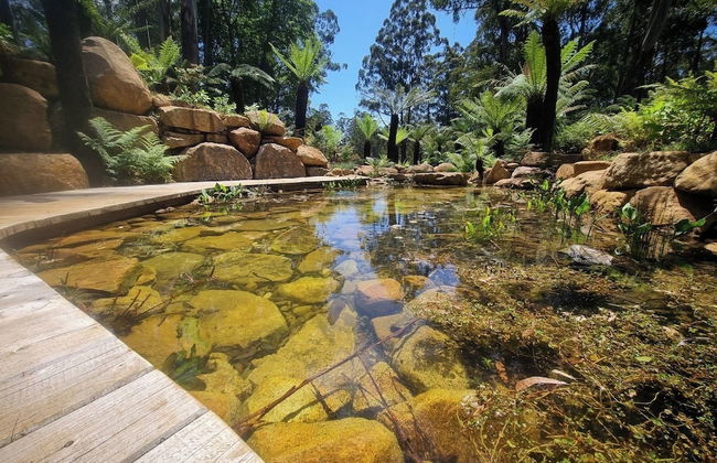 Fern Cottage at Fern Falls Cottages - Foto 14