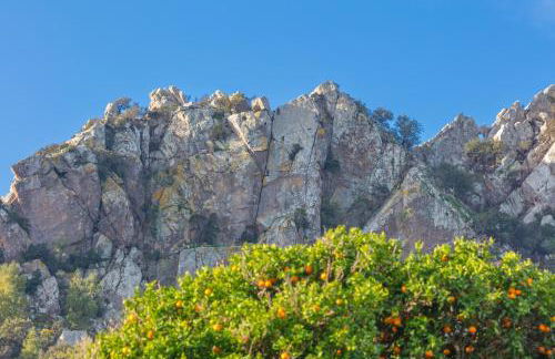 Casa Cortijo con piscina privada en Betis - Foto 36