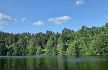 Landhaus Dachsberg - Foto 18