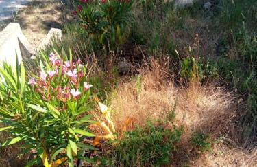 Casa de Celebrar a Vida - Foto 35