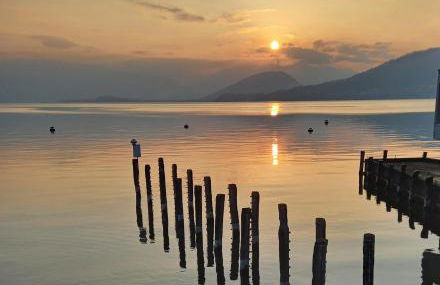 Natura tra bosco e lago - Foto 37
