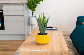 Dartford Luxurious House with Parking - Netflix - Wi-Fi - Photo 7