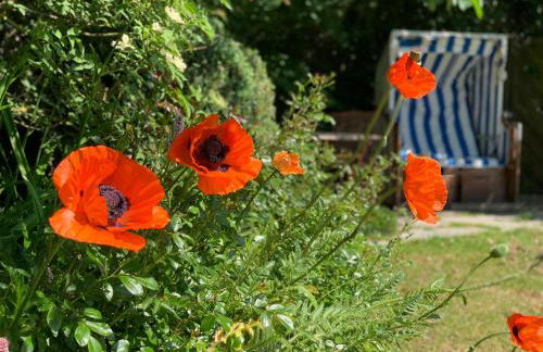 Landhaus Haack - Foto 16