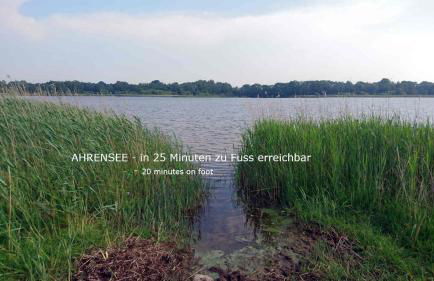 Hale Aloha - Foto 24