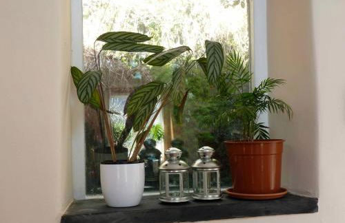 Pretty sunny cottage, Machynlleth - Photo 42