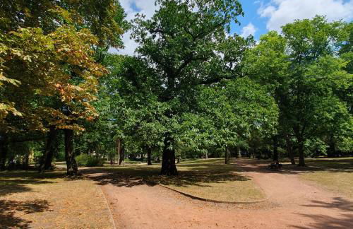 Finka Monika - Foto 17