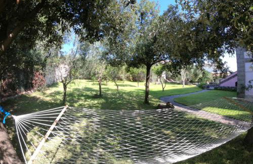 Case vacanza "Gli Ulivi" - Foto 7