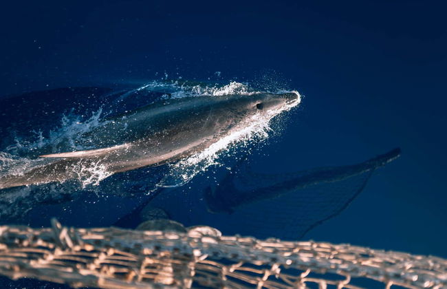 Passeio de barco pirata por Lampedusa - Foto 6
