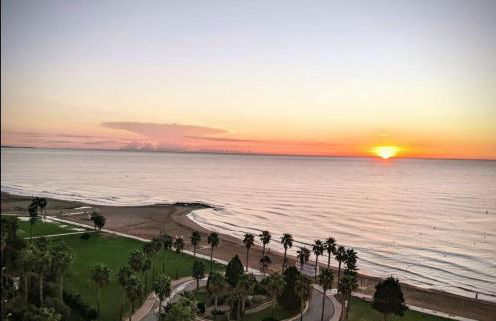 Mondrian Magic World - sea view first line of the beach - Photo 45