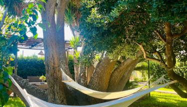 Terra Di Mare - Foto 5, Garden