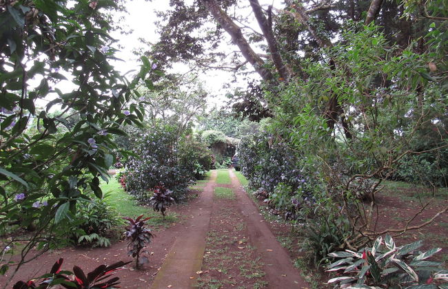 Ataco Luxury Cabin - Foto 11