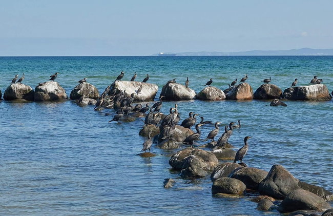 Pet Friendly Holiday Home in Dronningmølle near Sea - Foto 34