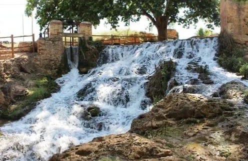 Apartamentos Buganvilla - Photo 24