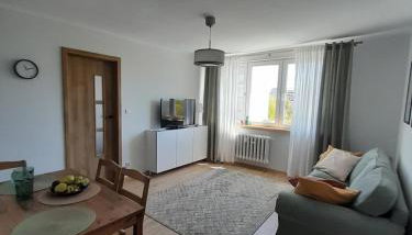 Apartament Mech i Paproć - Foto 4