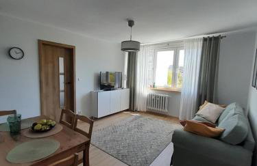 Apartament Mech i Paproć - Foto 4