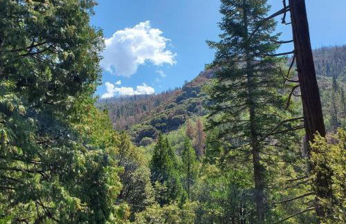 Redwood Retreat, Mountains, Adventure and Nature - Foto 36