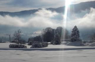 Ferienwohnungen Mooshäusl - Foto 36