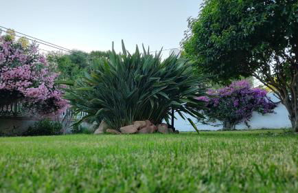 Villa Teresa - Foto 7