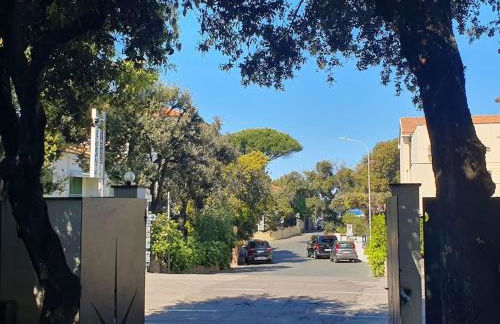 Lecci al Mare - Foto 18