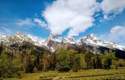 Three Bears Inn - Foto 71