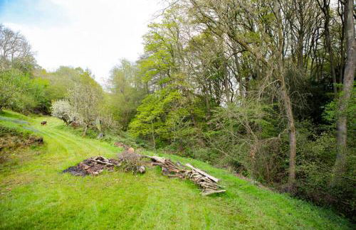 Little Hollows Glamping - Foto 46