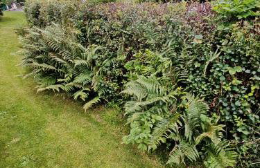 TheWeeHouseOnTheHill - Foto 36