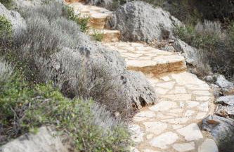 Into The Blue Apartment - Photo 30