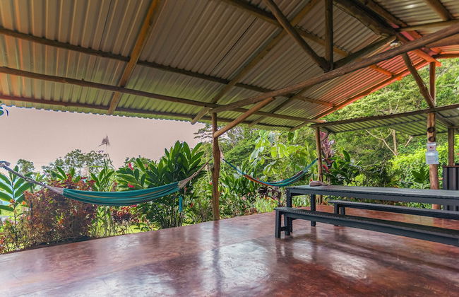 Cabañas Caeli Rainforest Glass Cabin La Perezosa La Fortuna - Foto 51