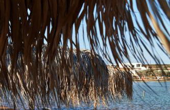 Theologos Beach - Foto 74