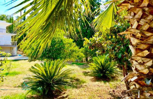 Villa Amatheia, Beachfront - Foto 62