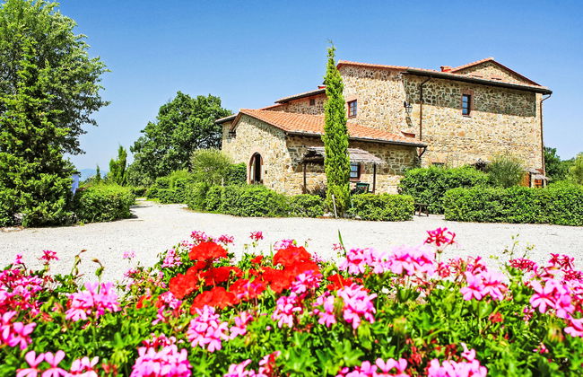 Pulcino n°3 - Foto 1