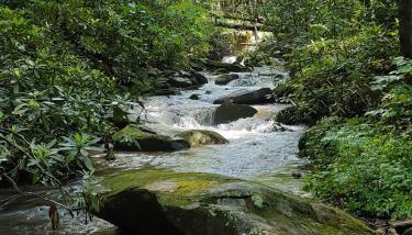 Falling Waters at Rumbling Bald - Foto 2