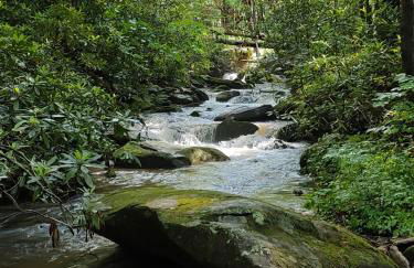 Falling Waters at Rumbling Bald - Foto 2
