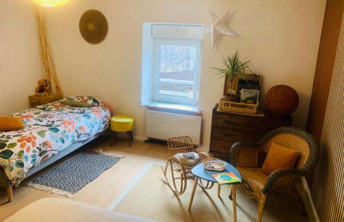 Côté Rive, au bord de la rivière La Moselotte et terrasse - Foto 12