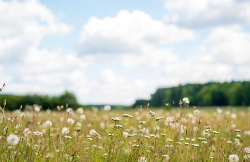 Arche Siedlisko Gołubowszczyzna - Foto 13