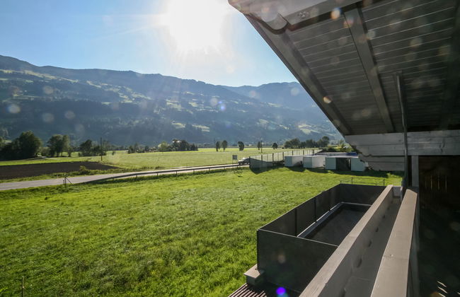 Der Pinsler - Foto 9